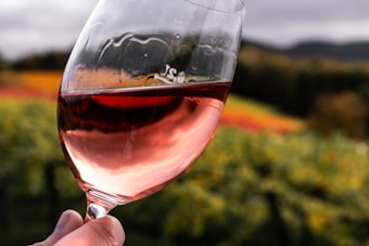 A hand holds a glass of rosé wine against a scenic backdrop of a vineyard. The vineyard is filled with lush grapevines, exhibiting vibrant autumn hues of green, yellow, and red spanning across rolling hills under a cloudy sky.