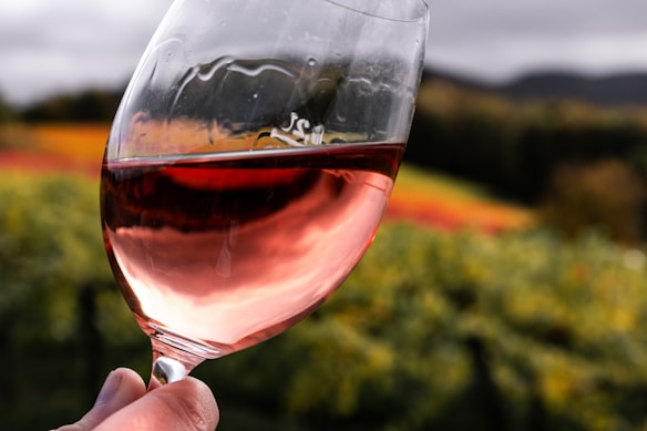 A hand holds a glass of rosé wine against a scenic backdrop of a vineyard. The vineyard is filled with lush grapevines, exhibiting vibrant autumn hues of green, yellow, and red spanning across rolling hills under a cloudy sky.