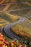 A winding road curves through vibrant autumn vineyards on rolling hills. The landscape is filled with rows of grapevines, displaying a patchwork of autumn colors such as orange, yellow, and green.