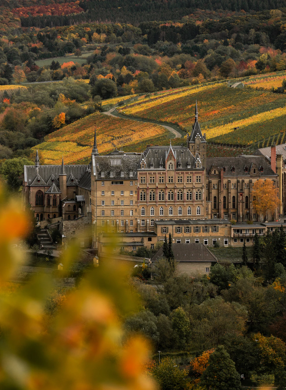 The image depicts a picturesque scene from a hilltop overlooking a large, historic castle-like building nestled amidst lush green hills and fields. The castle features multiple towers and turrets that add to its majestic appearance. The surrounding landscape is adorned with trees and foliage in various shades of orange and yellow, suggesting the season could be autumn or late summer.

The image is taken from a high vantage point, providing an expansive view of the castle and its surroundings. The colors in the photo are vibrant, with the green hills contrasting beautifully against the castle's stone structure.