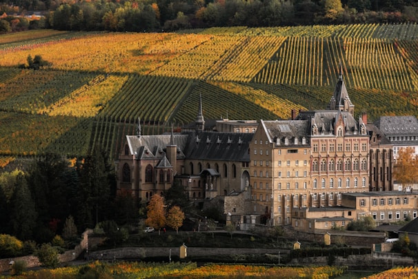 A large, historic building with elaborate architecture is situated amidst sprawling vineyards that display a patchwork of rich autumnal colors. The landscape features meticulously aligned rows of grapevines in shades of green, yellow, and orange, set against a backdrop of lush trees.