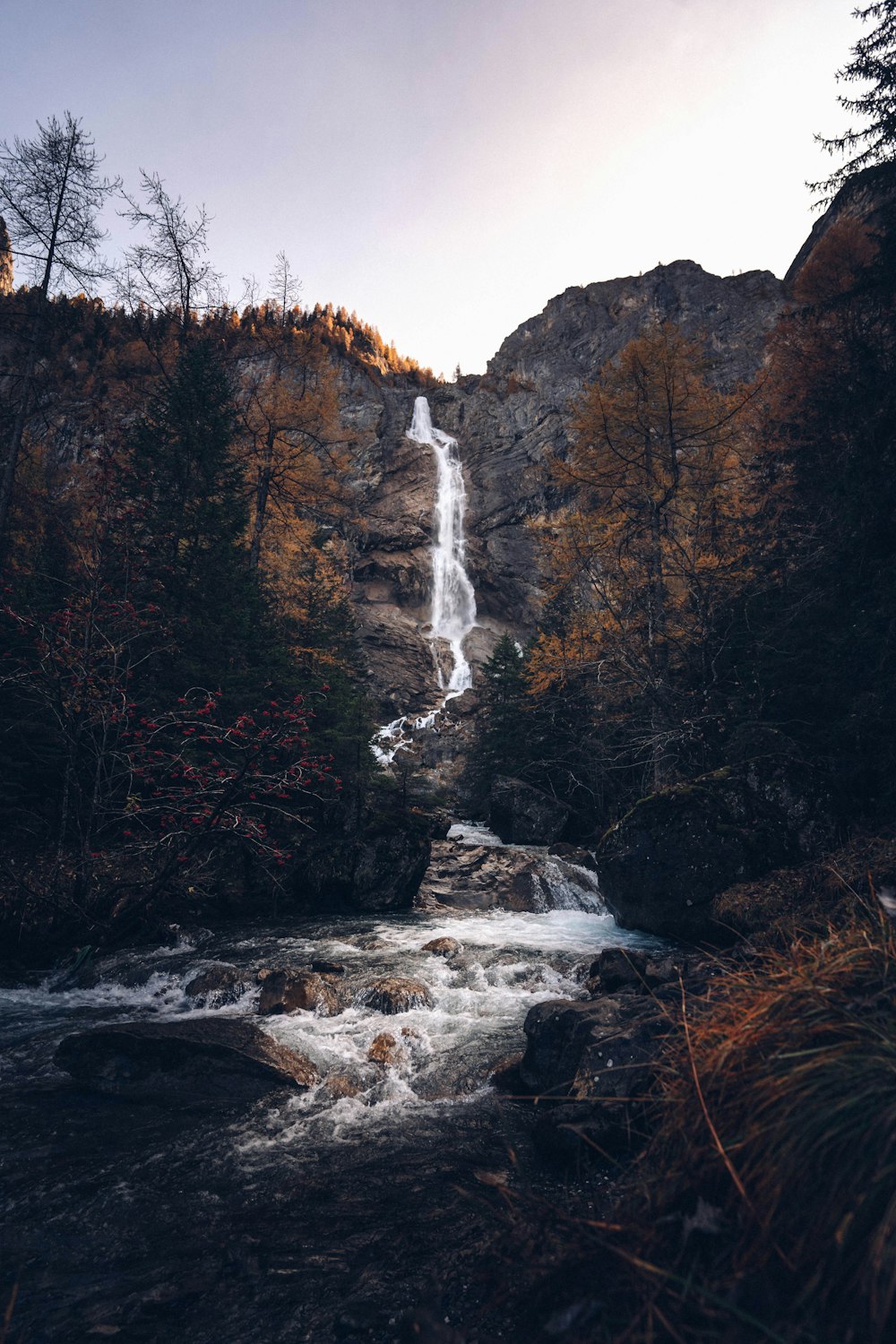 waterfalls in the middle of forest during daytime