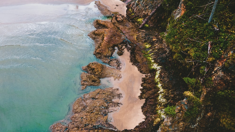 aerial view of green and brown mountain beside body of water during daytime