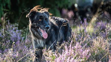 İş Yerinde Sürekli Yorgun Hissetmek: Motivasyonu Artırma Yolları