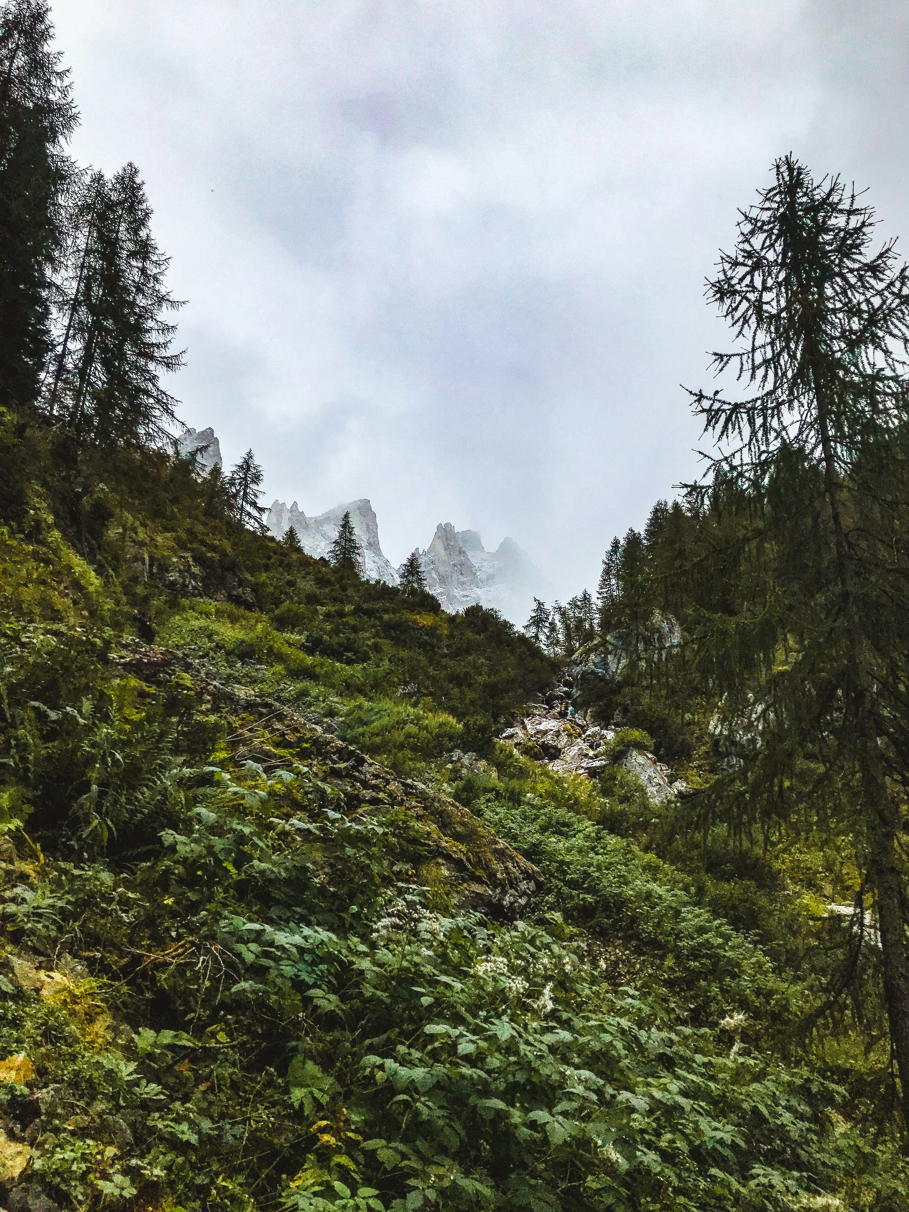 Photo by tyrannosara