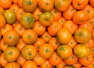 orange fruits on white ceramic plate