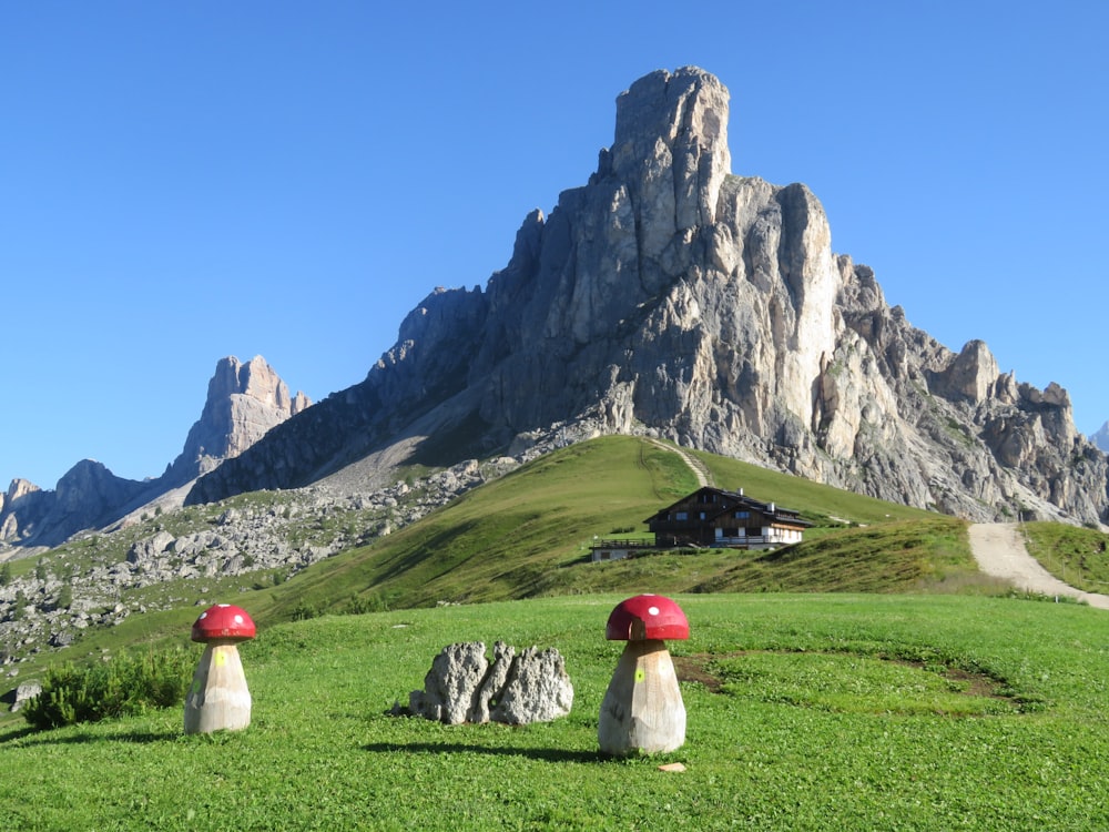 white and red outdoor lamp on green grass field near gray rocky mountain during daytime