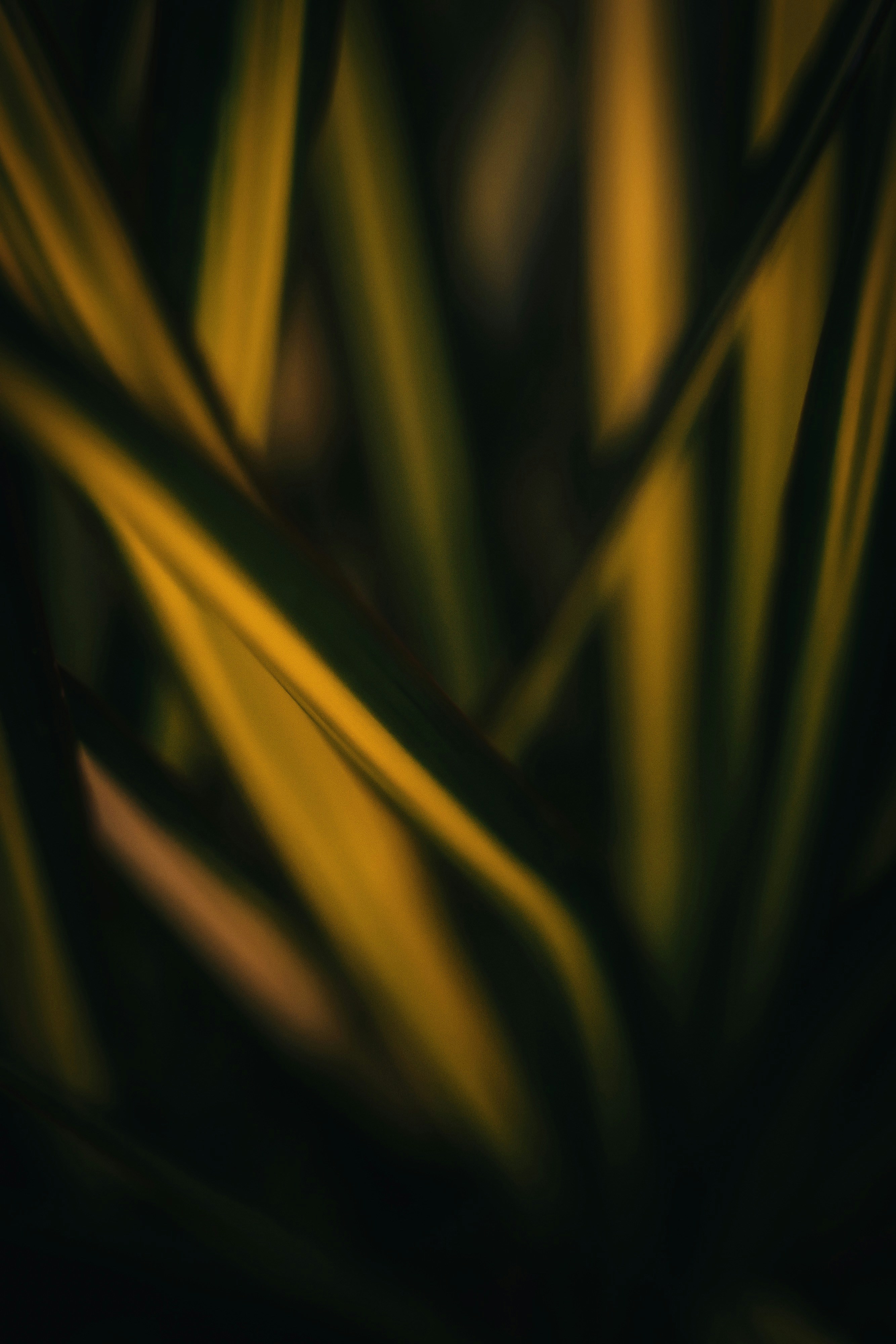 yellow and black abstract painting