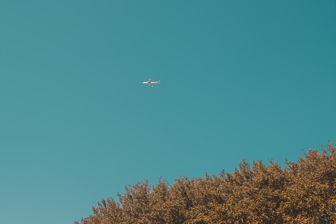 white airplane flying over green trees during daytime