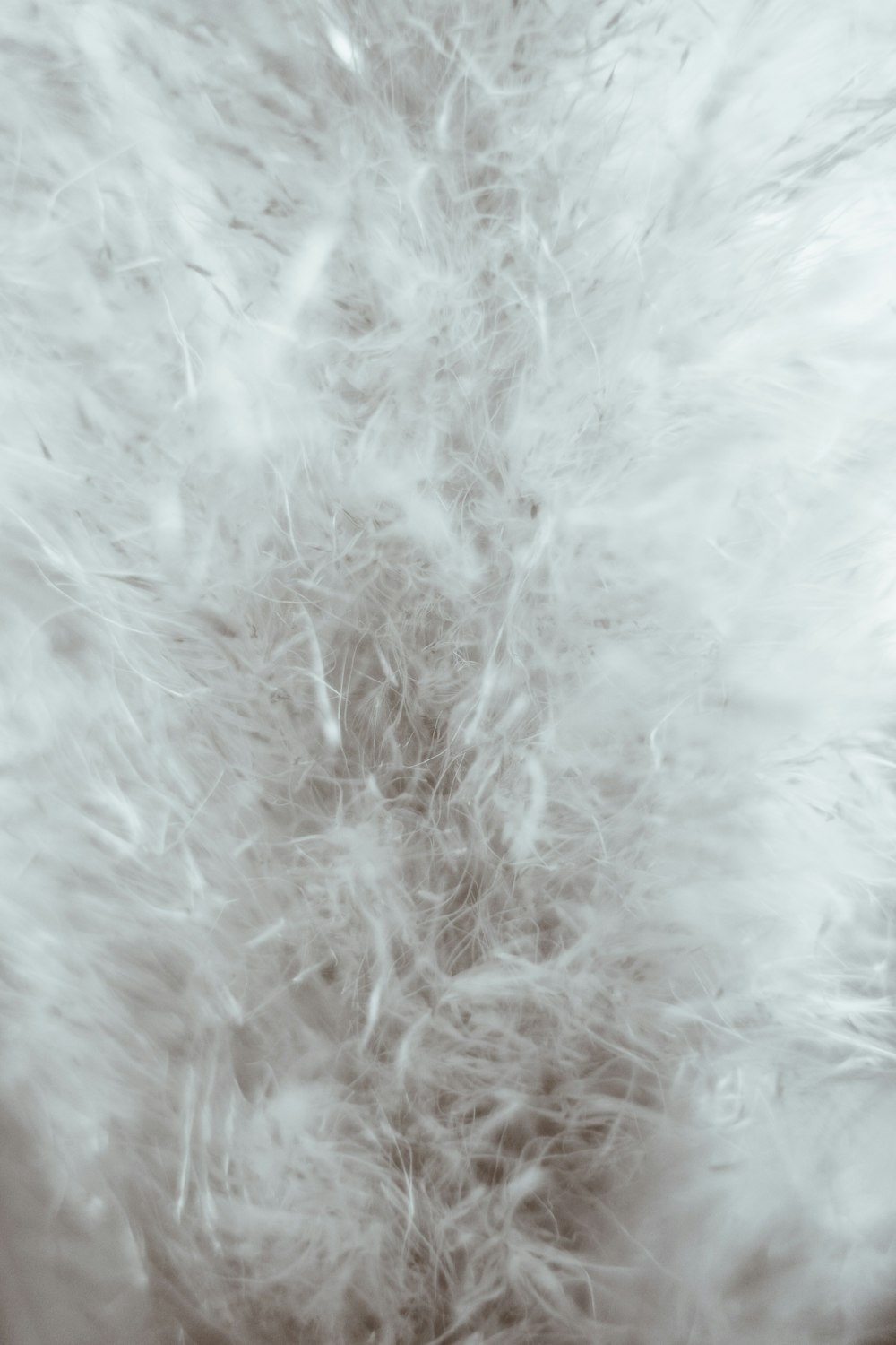 white fur textile in close up photography