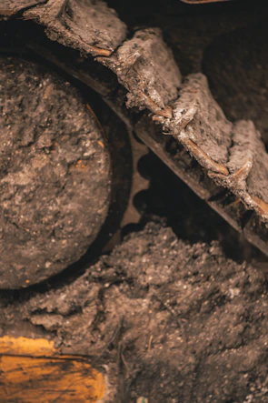 Close-up image of sturdy bulldozer tracks crushing rough terrain