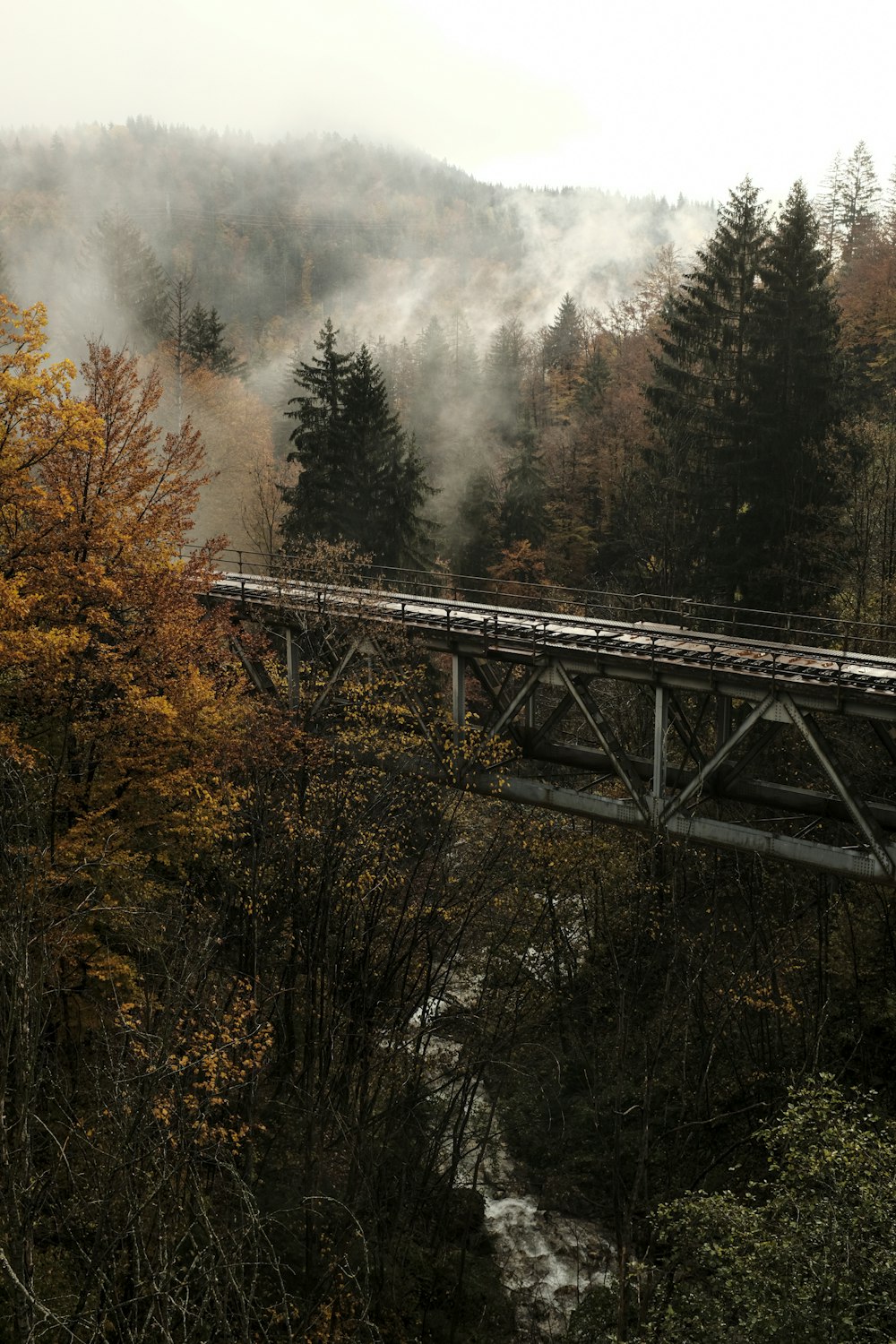 gray metal bridge over river