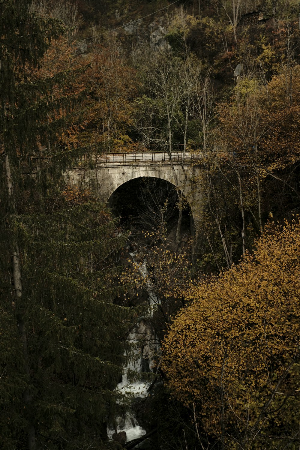 white concrete bridge over river