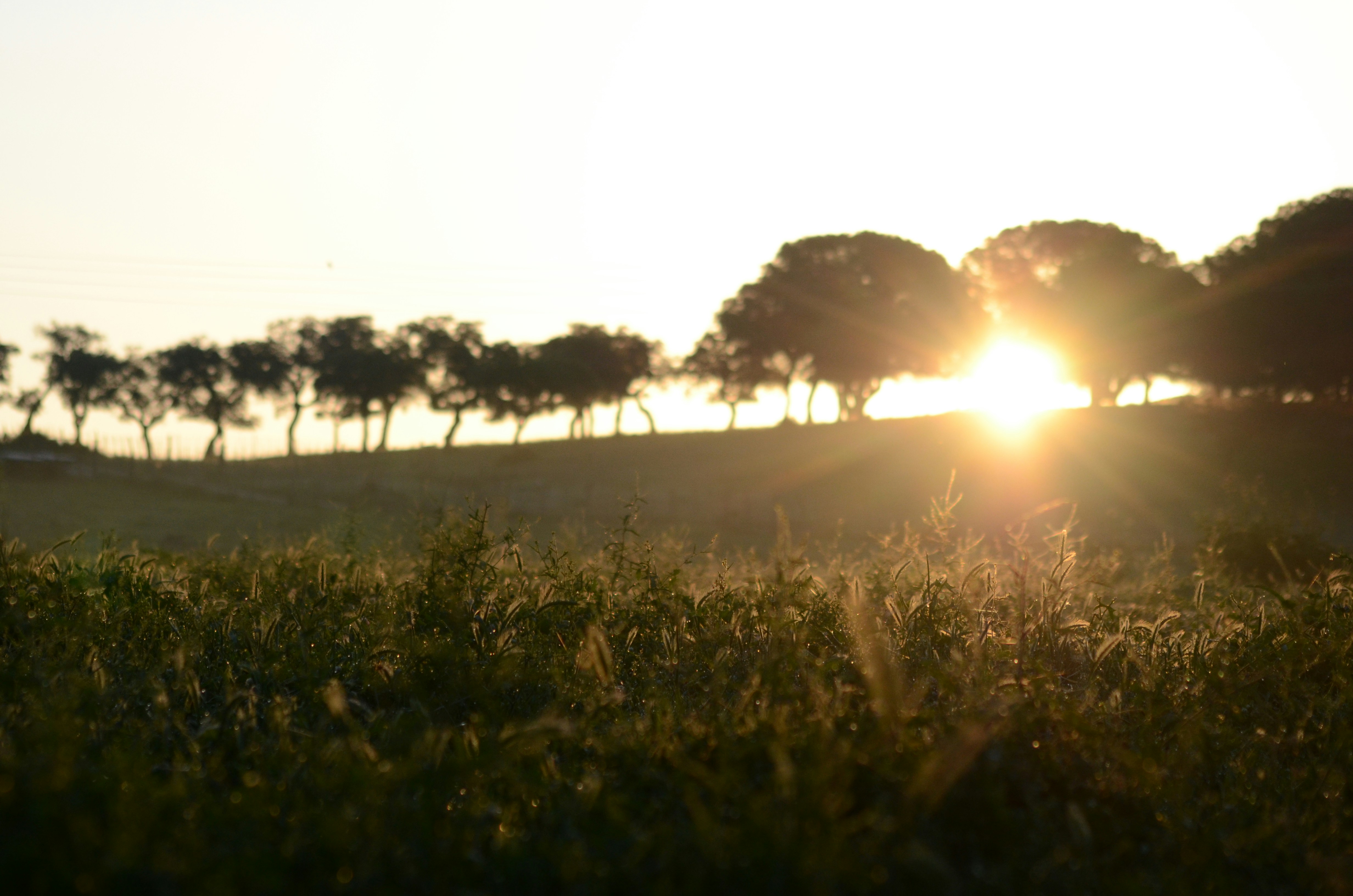 Photo by ofotografoportugues