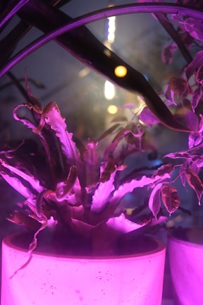Close-up of a vibrant neon 3D printed flower pot glowing under blacklight