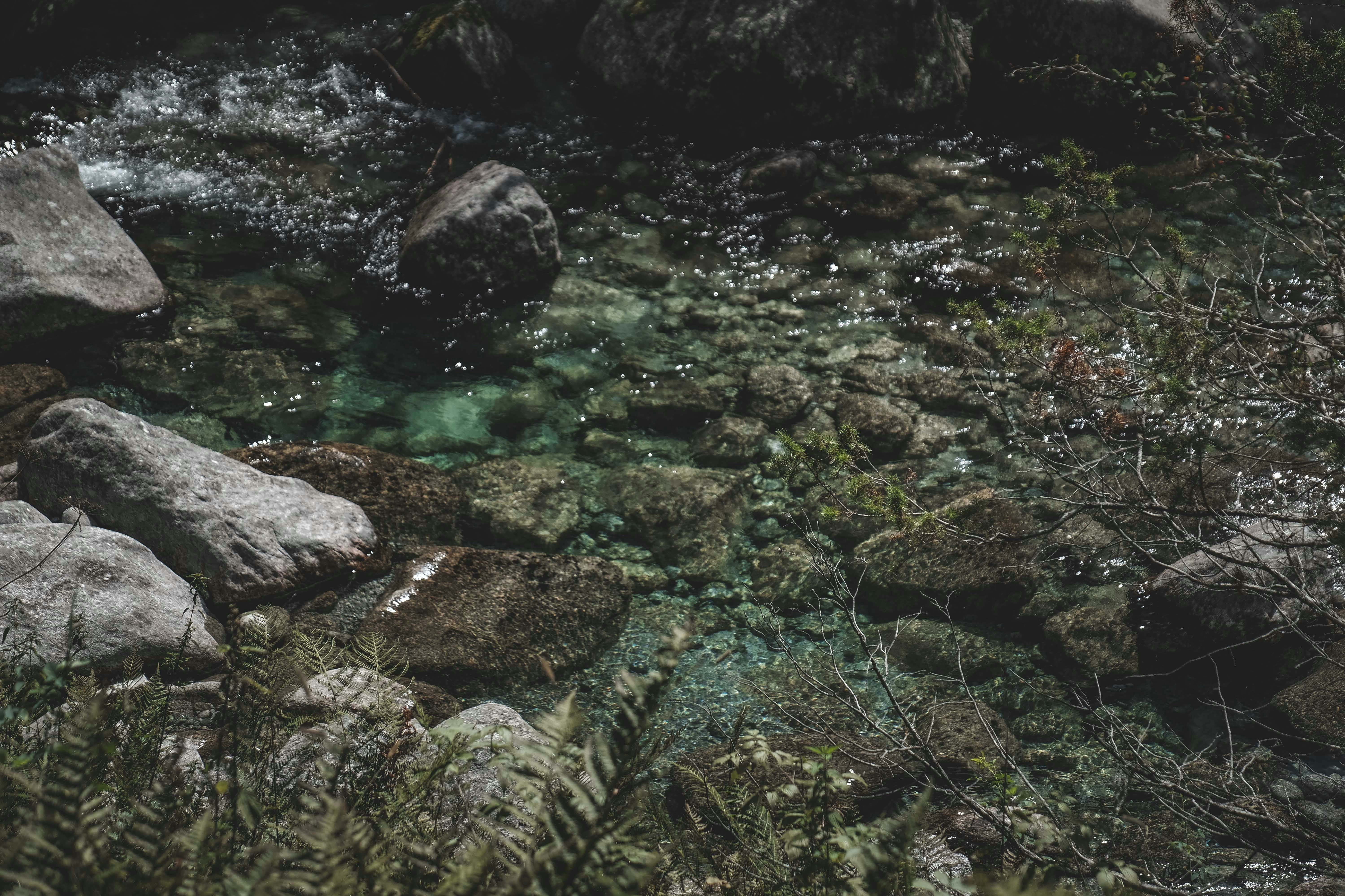 Photo by francesco_ungaro