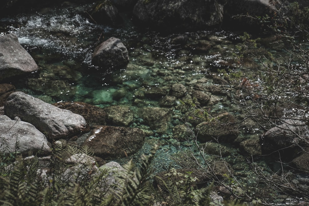 green moss on rocky river