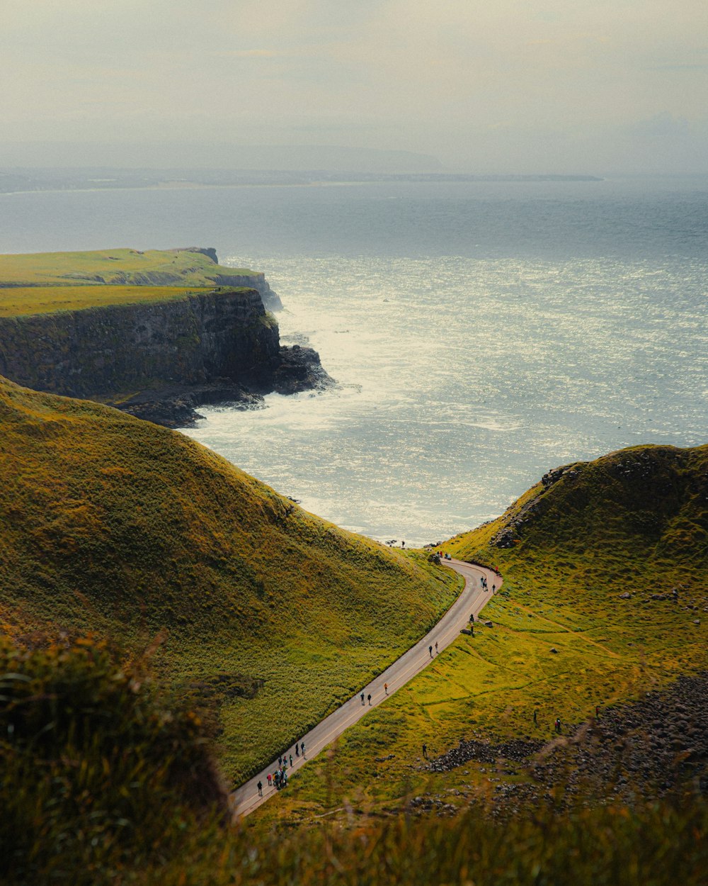 aerial view of green grass field beside sea during daytime