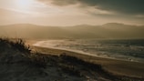 Sunset view of a coastal restoration project with newly planted dune vegetation stabilizing the beach