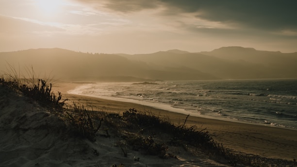 A serene coastal desert landscape at sunset with a small group exploring quietly.