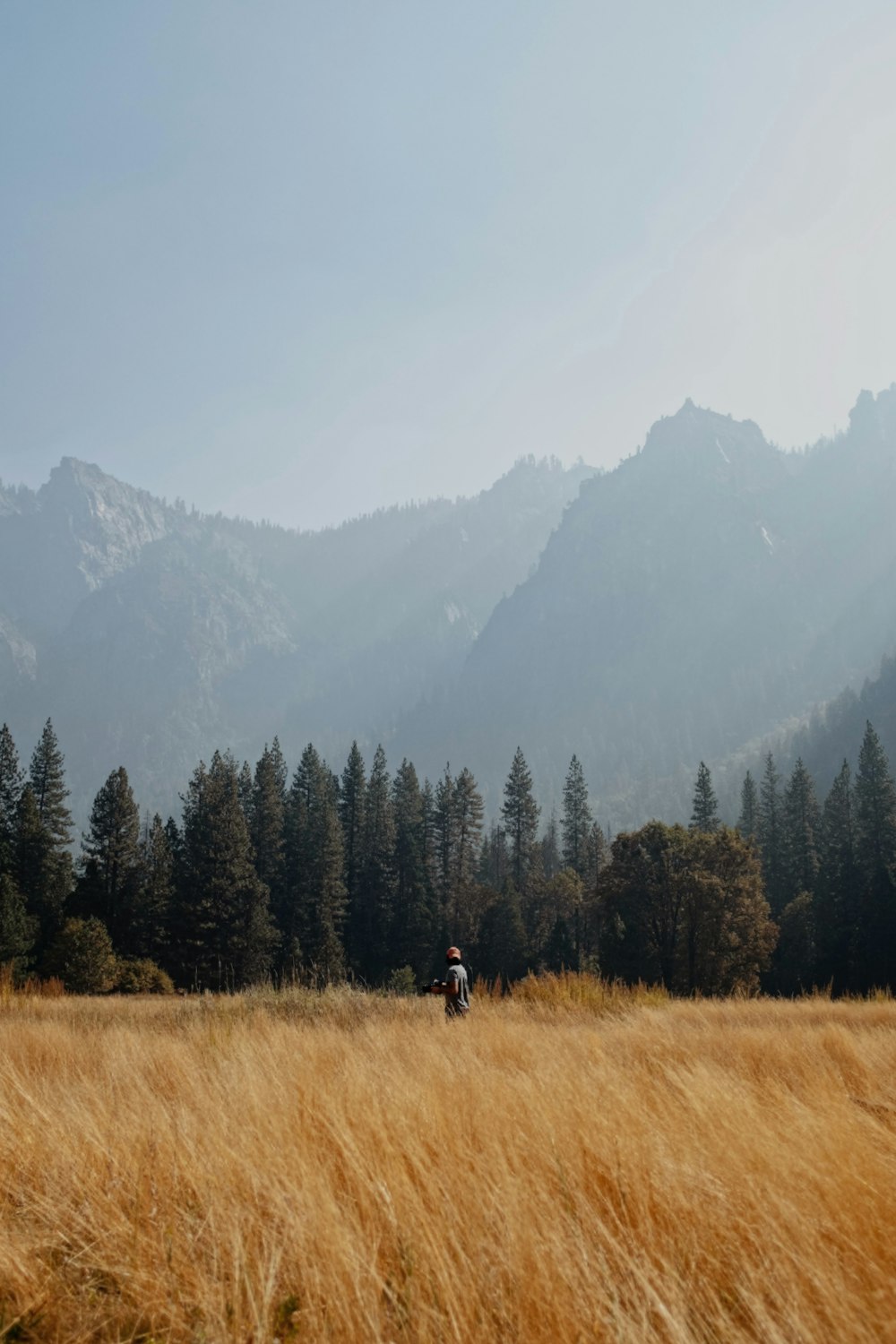 person walking on brown grass field near green trees and mountains during daytime