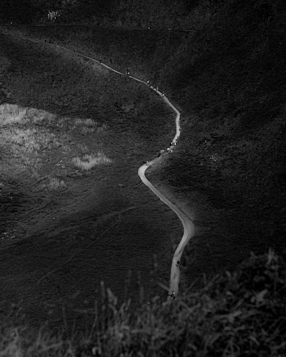 grayscale photo of road in between grass