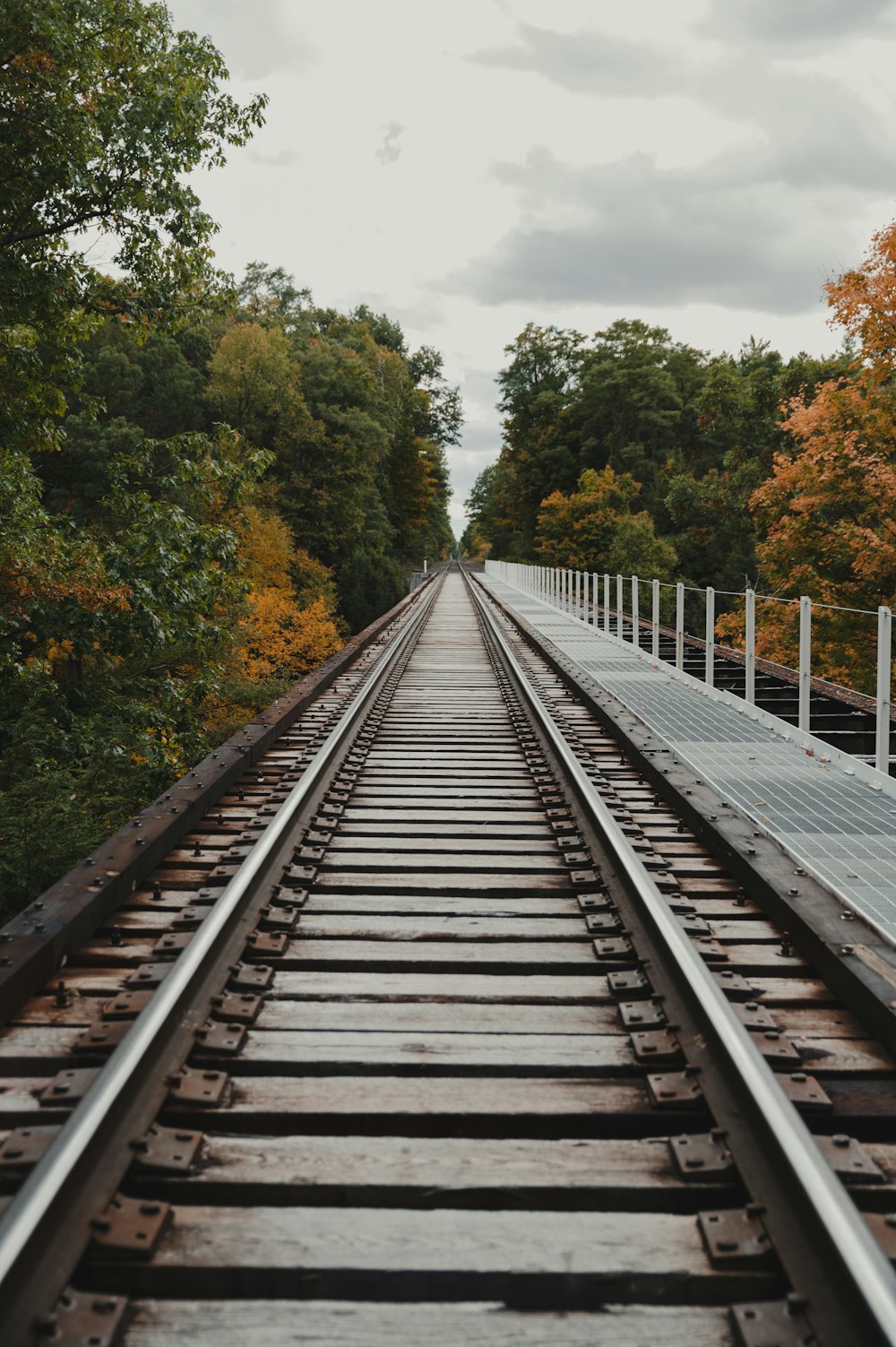 gray wooden train rail surrounded by green trees during daytime