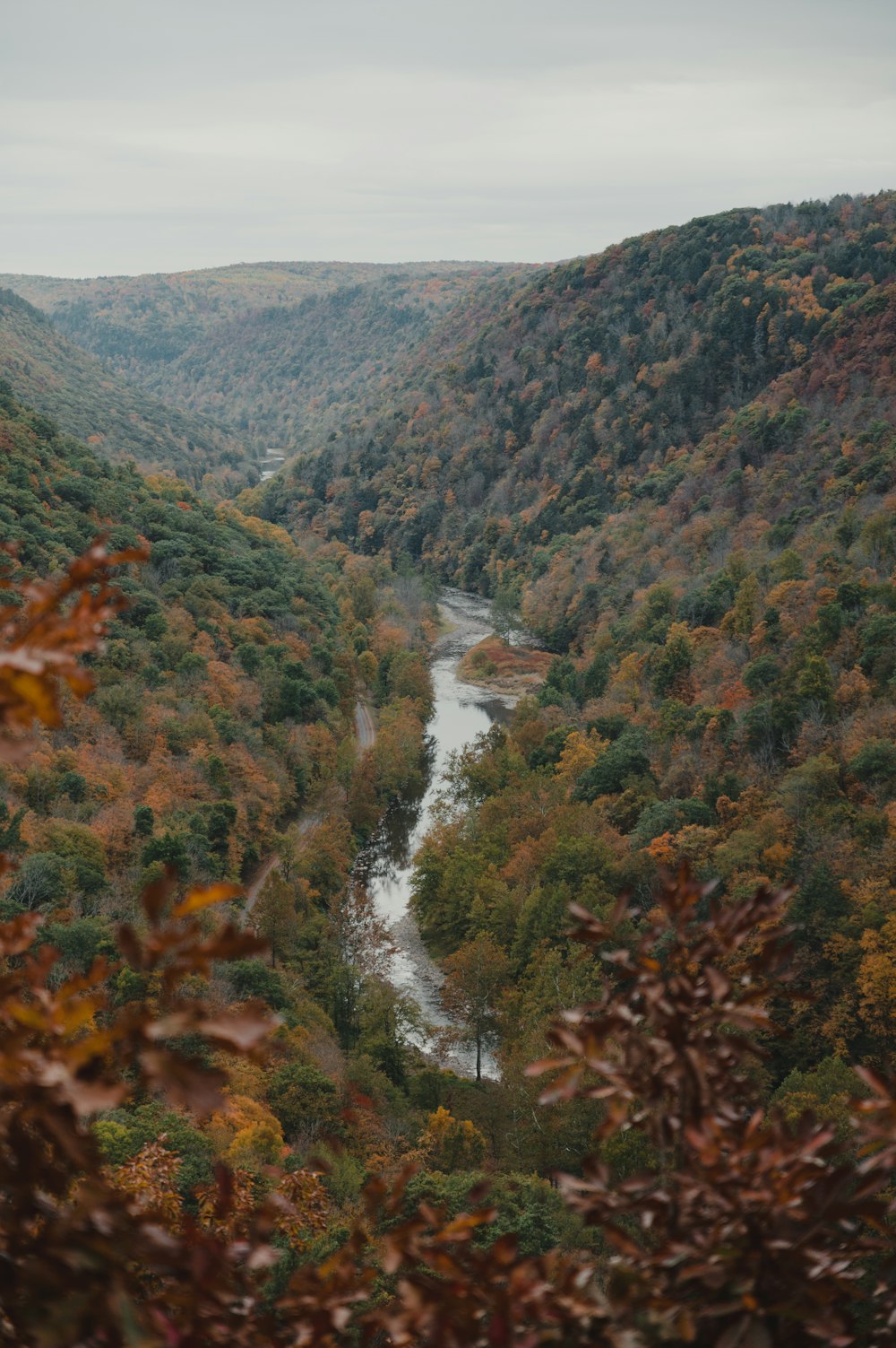 river between green and brown mountains during daytime