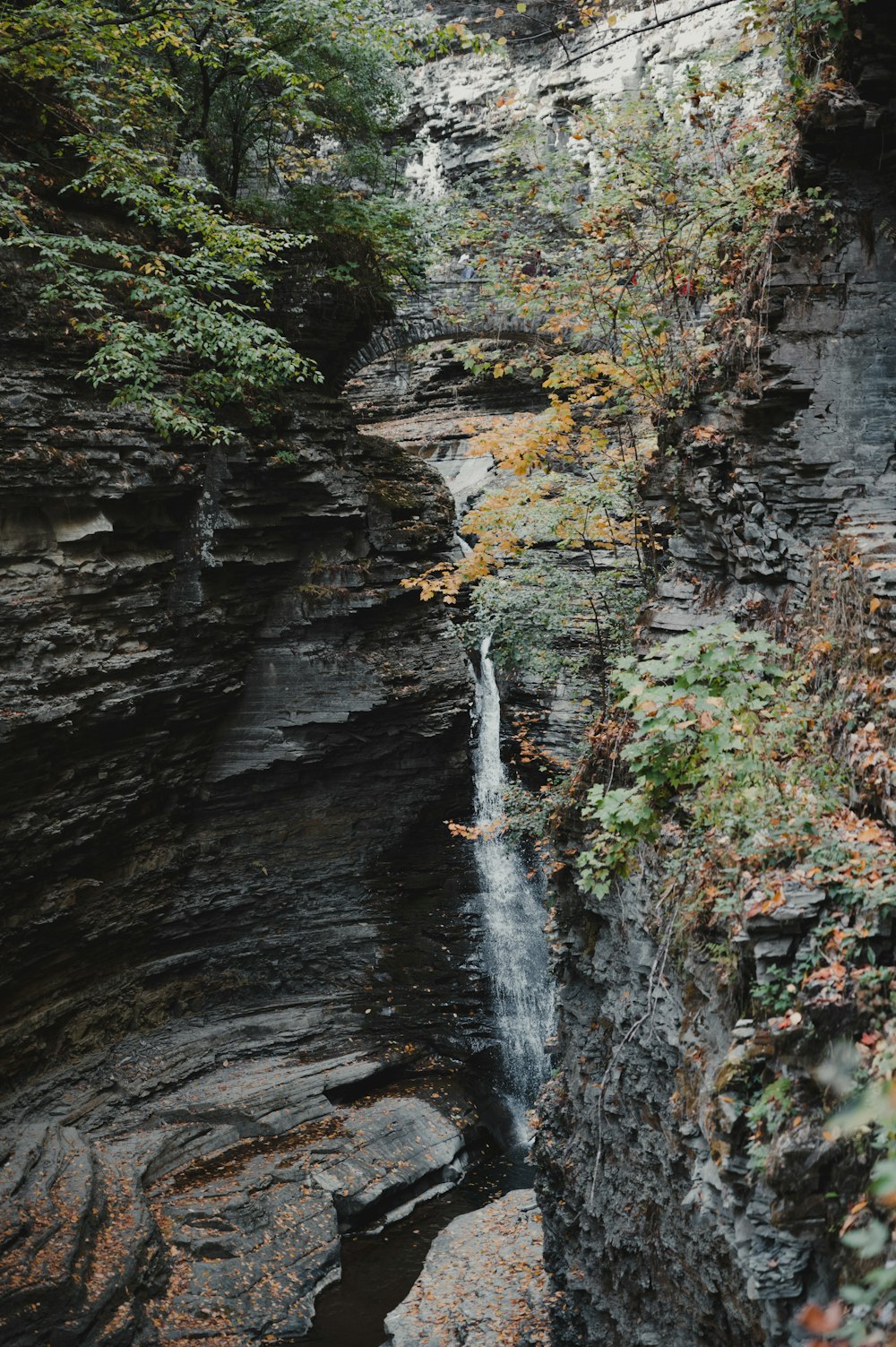 water falls between green and brown rocks