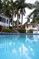 swimming pool near palm trees