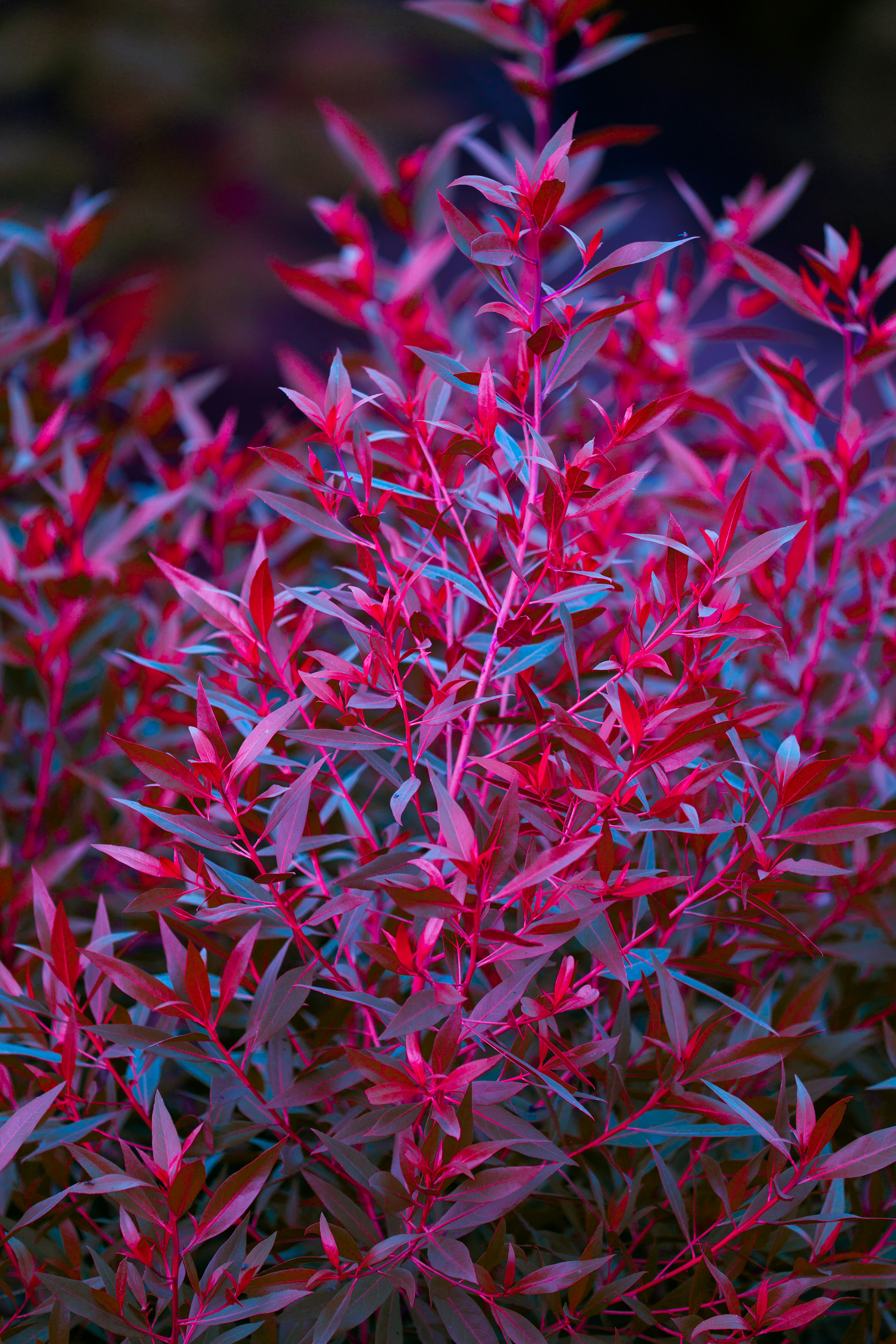 Photo by vikramnair