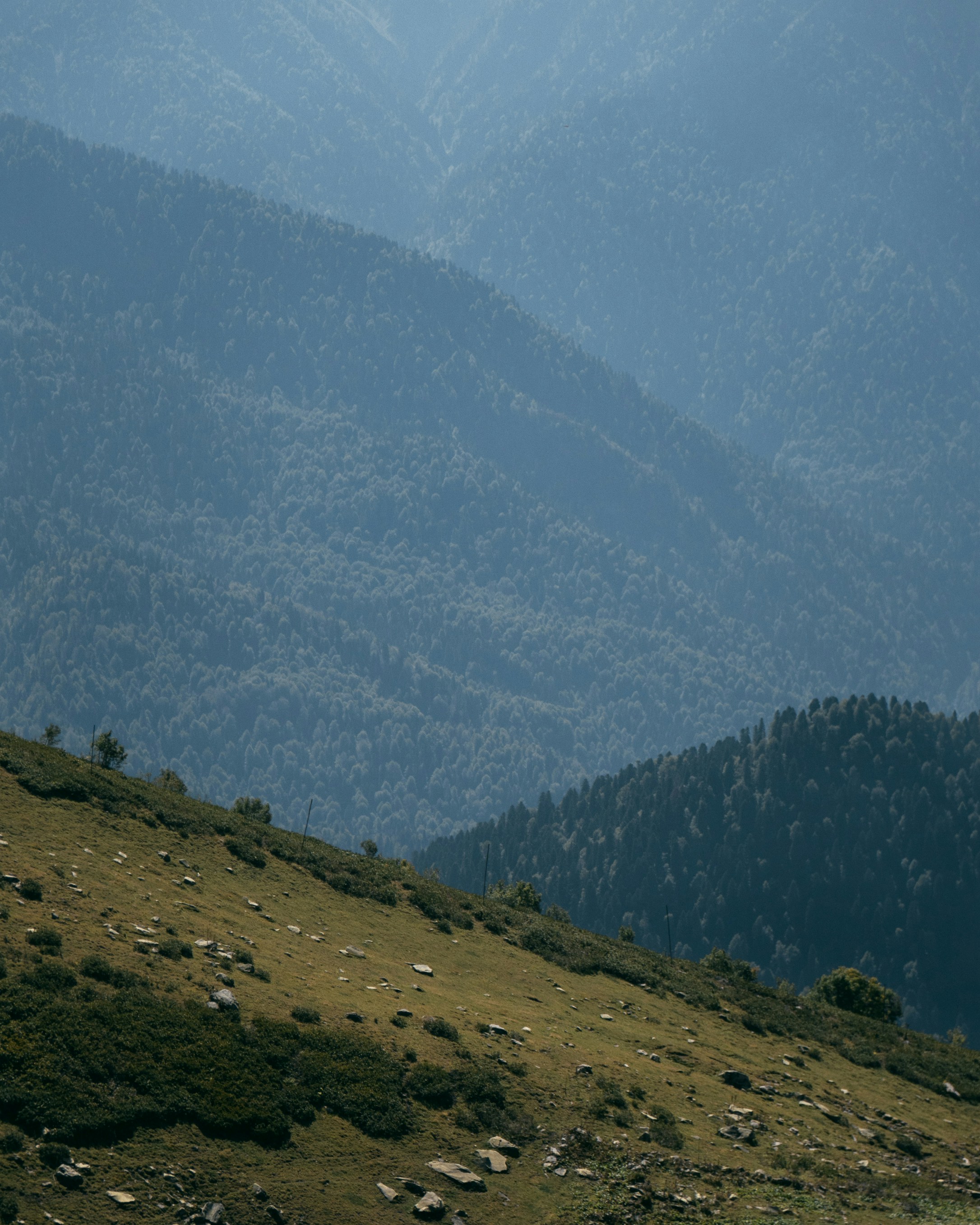 Photo by kirillpershin