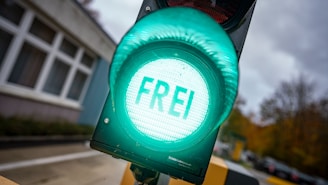A green traffic light prominently displays the word 'FREI'. The scene is set outdoors, with a blurred background showing a building with windows and parked cars. The overcast sky adds a grey tone to the environment.
