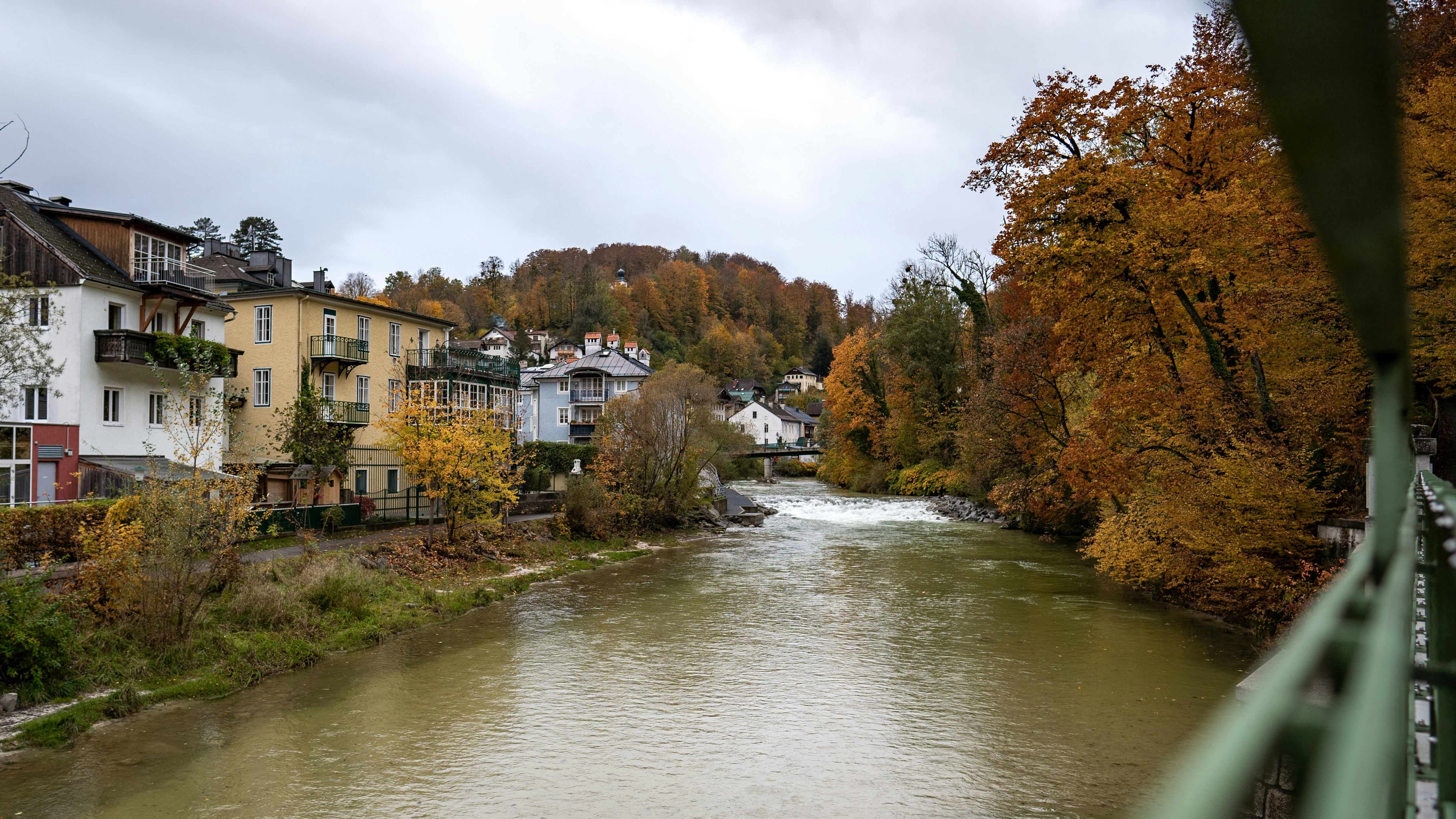 river between trees and houses, 