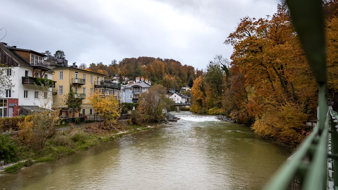 river between trees and houses,