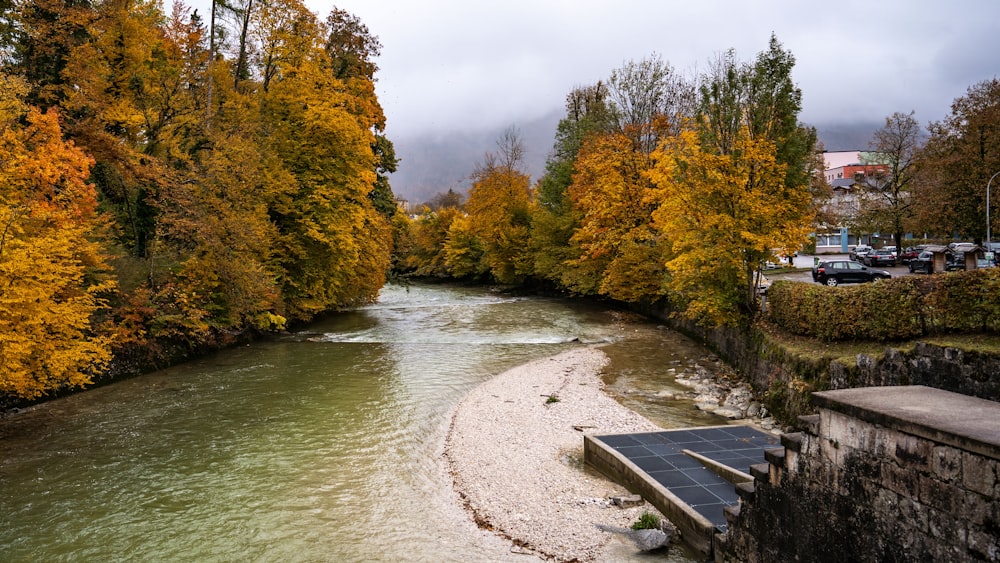 river between trees during daytime