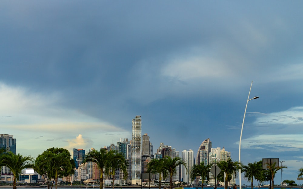 green palm trees near city buildings under gray cloudy sky during daytime