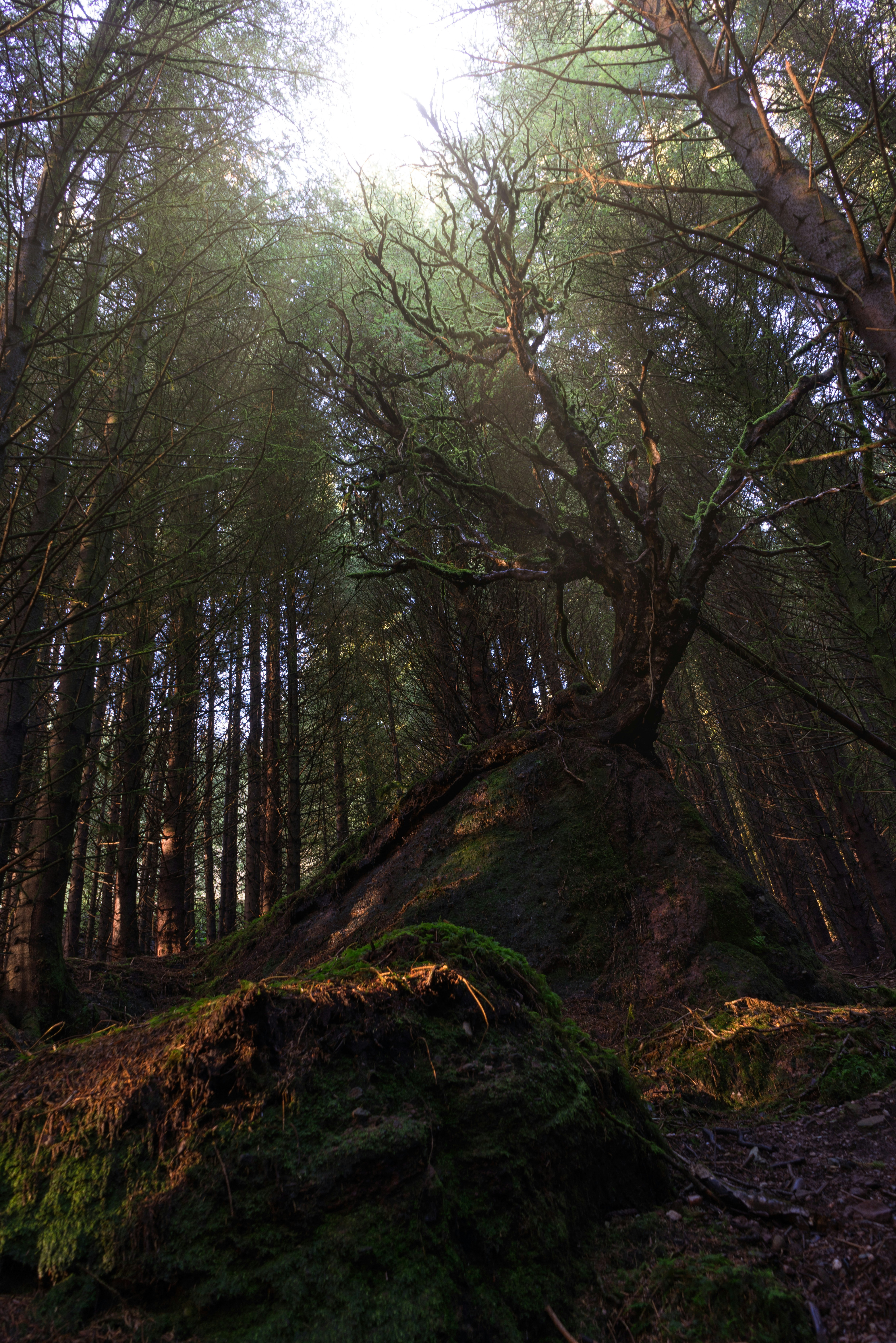 Photo by garyellisphoto