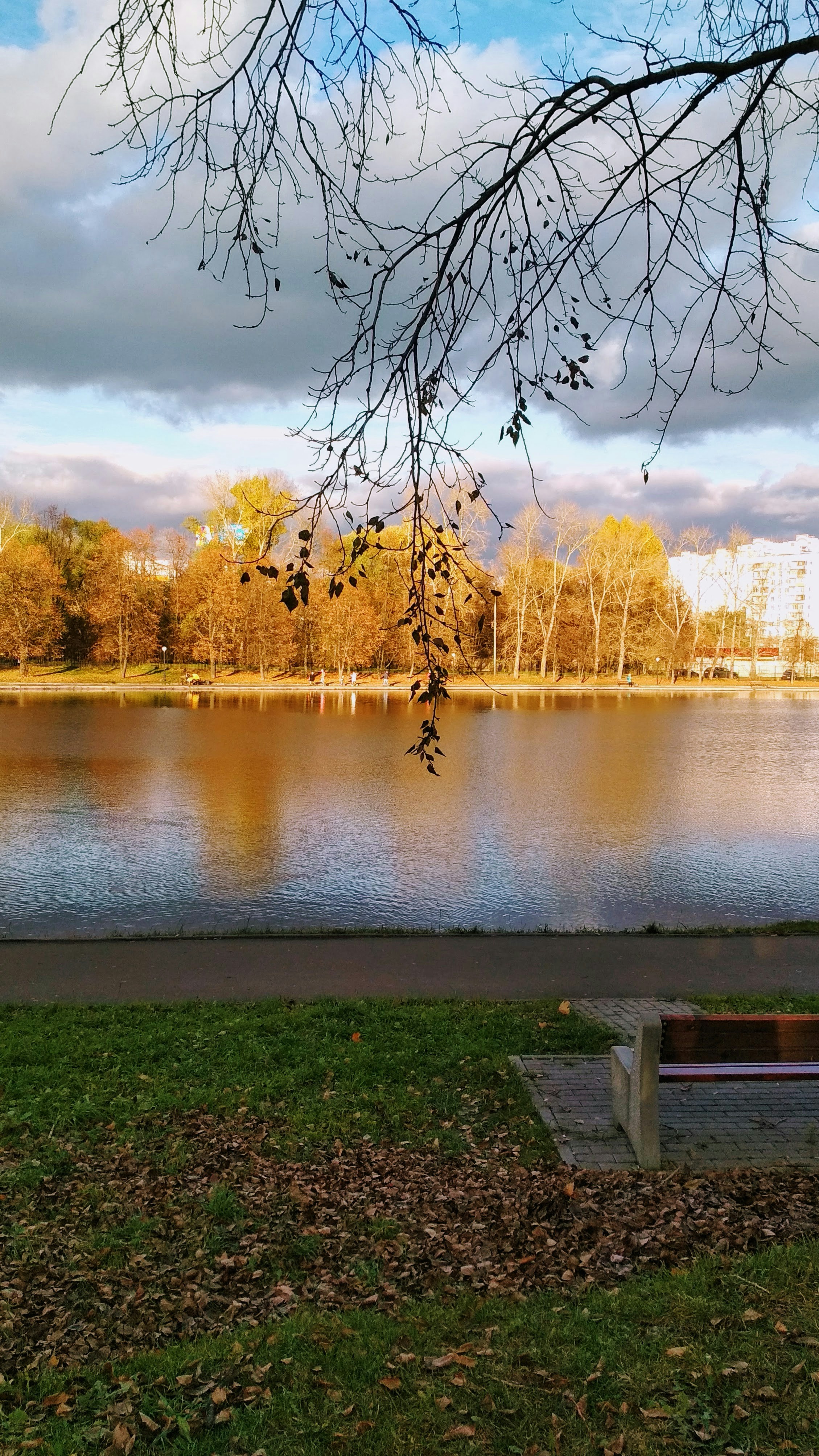 Photo by 28081995_love