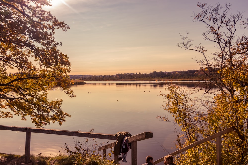 body of water near trees during daytime