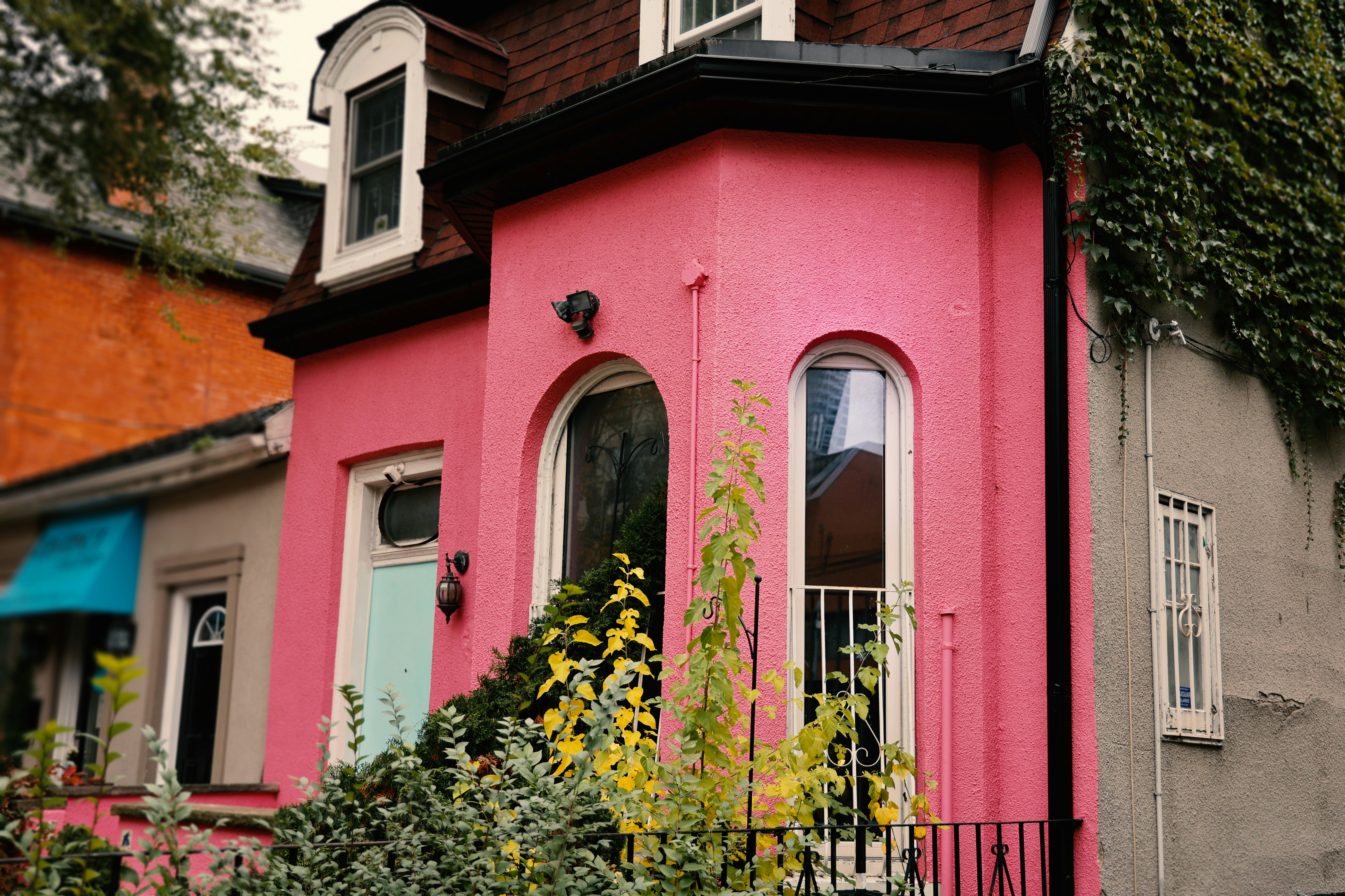 red and white concrete building with green plants