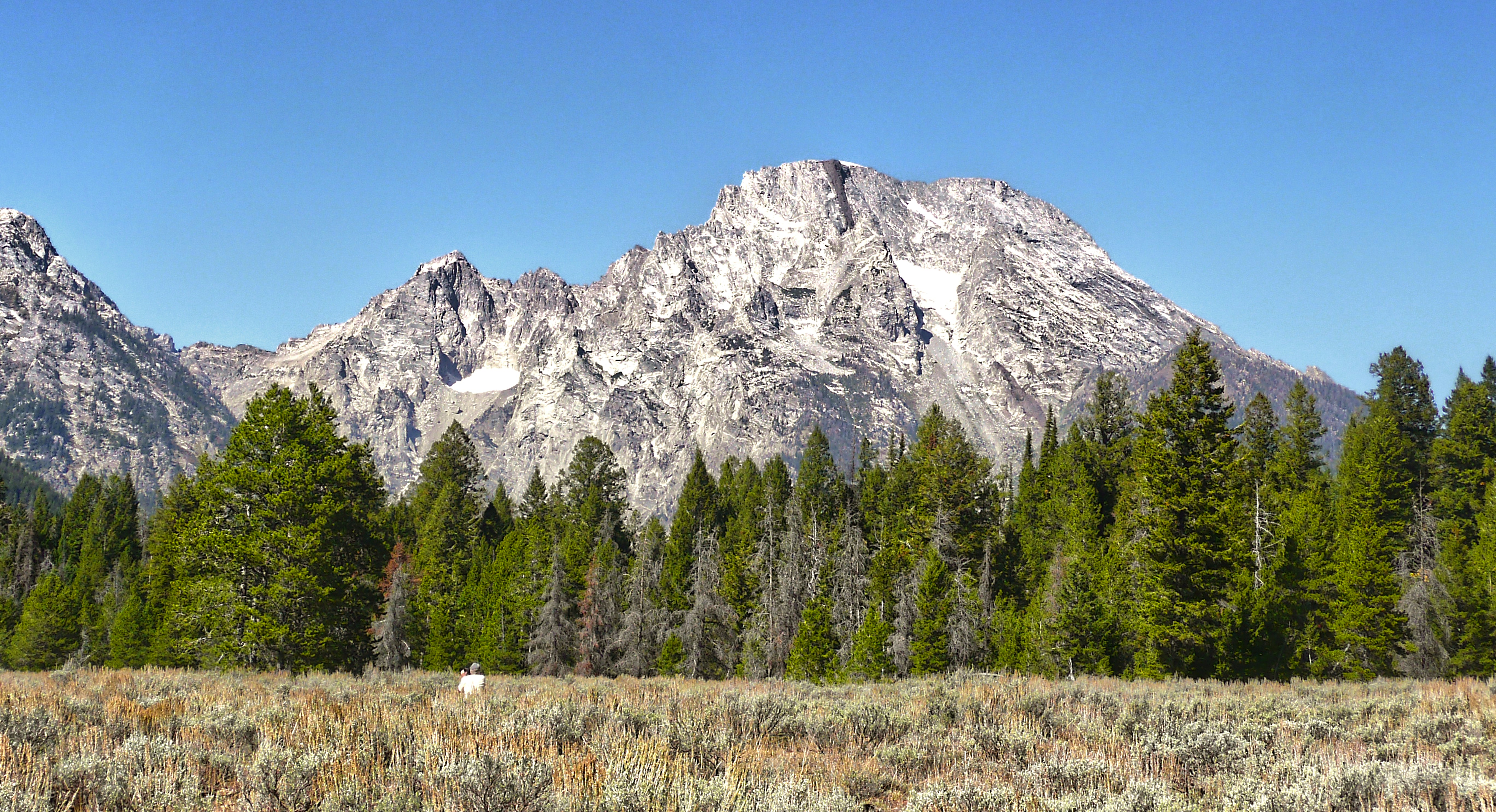 green trees near snow covered mountain during daytime