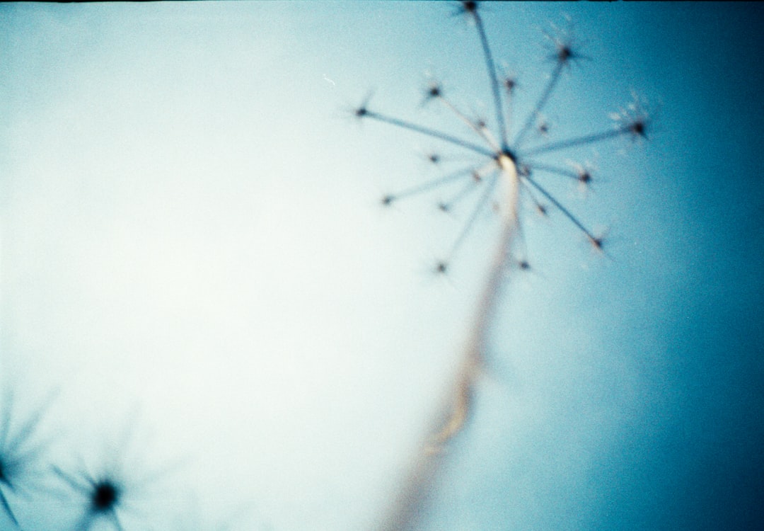 white and blue sky during daytime