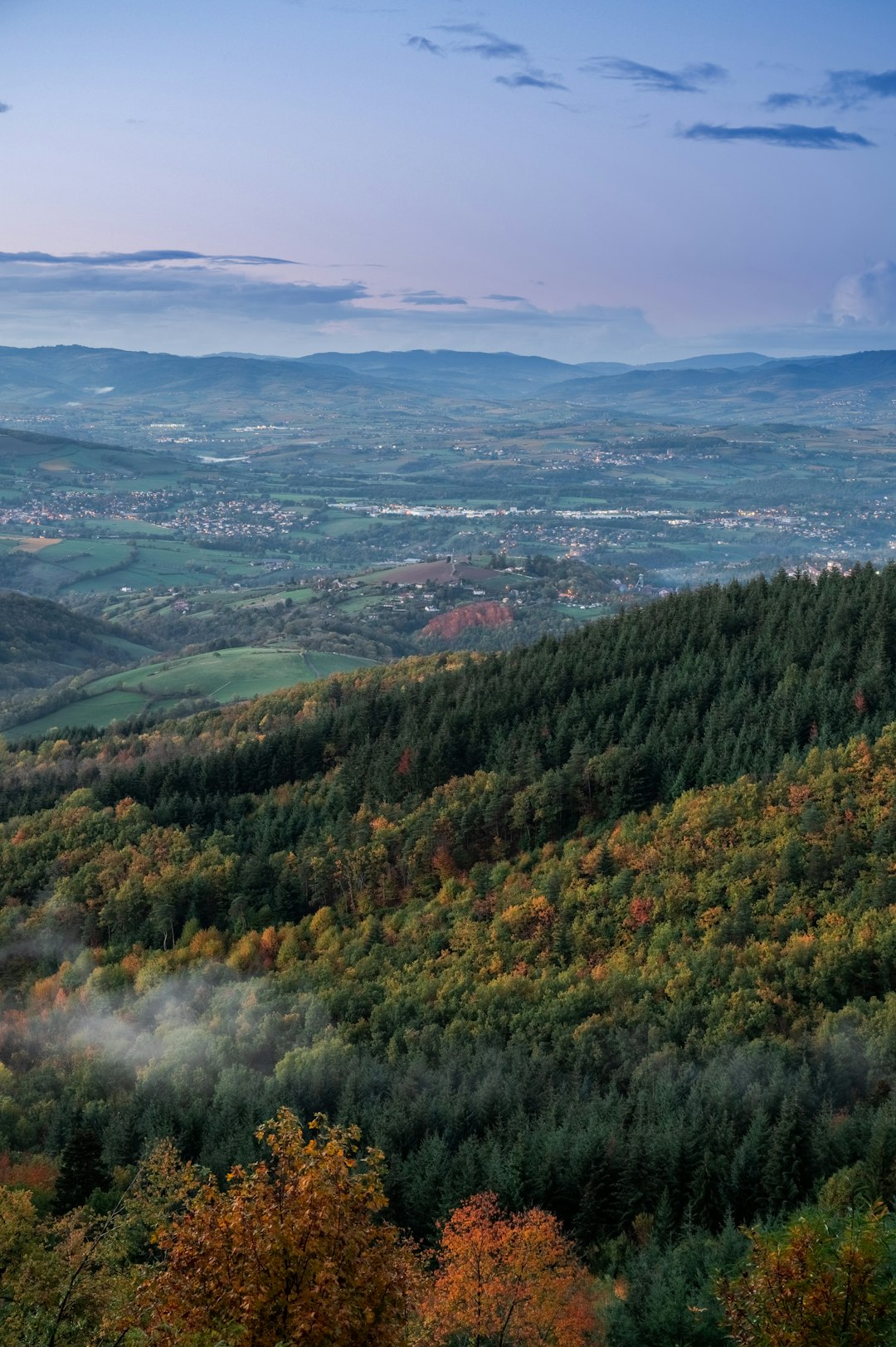 green and brown trees on mountain during daytime