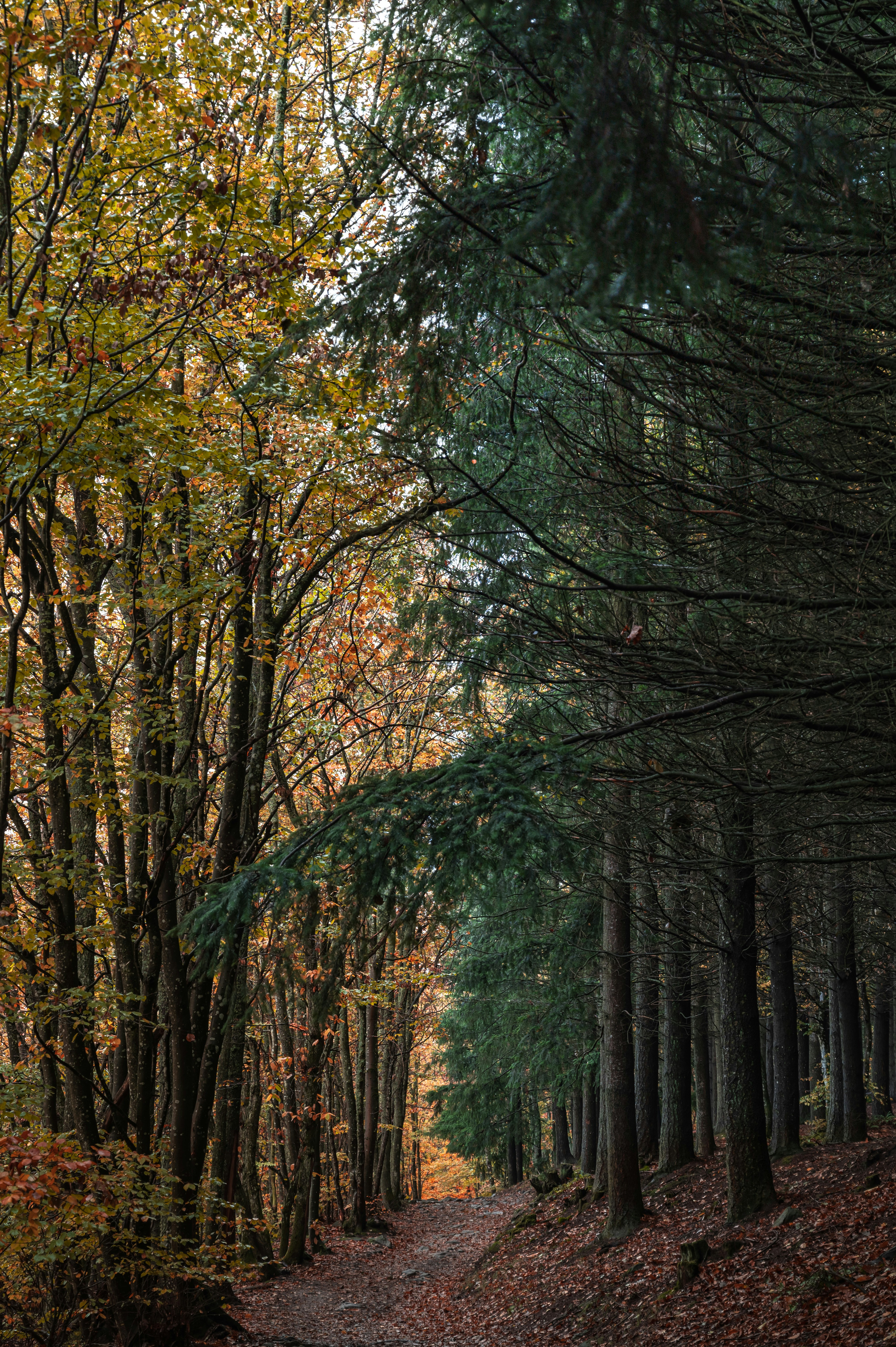 Photo by andreasbrun