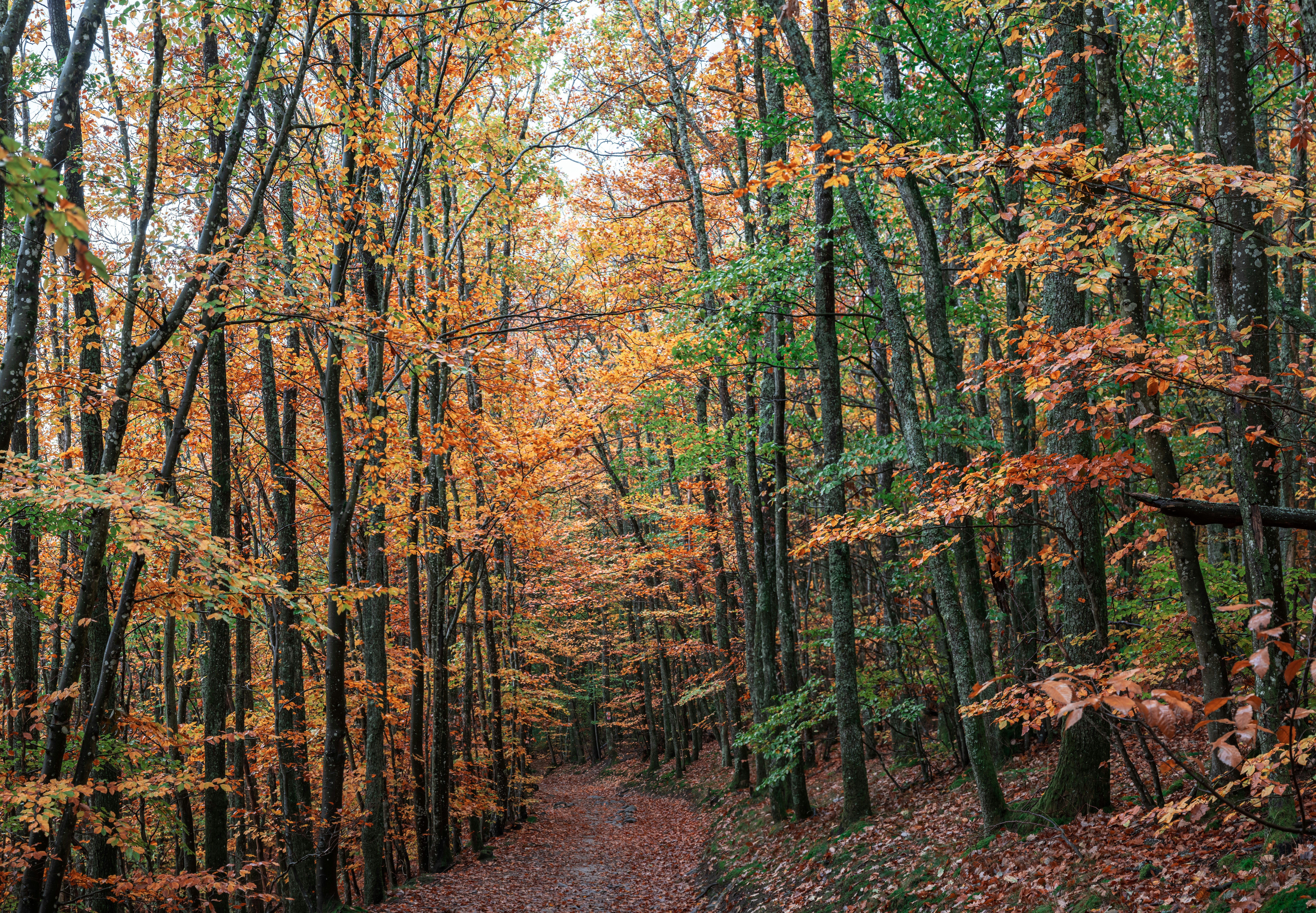 Instagram : @andreas.brun.fr Link : https://www.instagram.com/andreas.brun.fr/