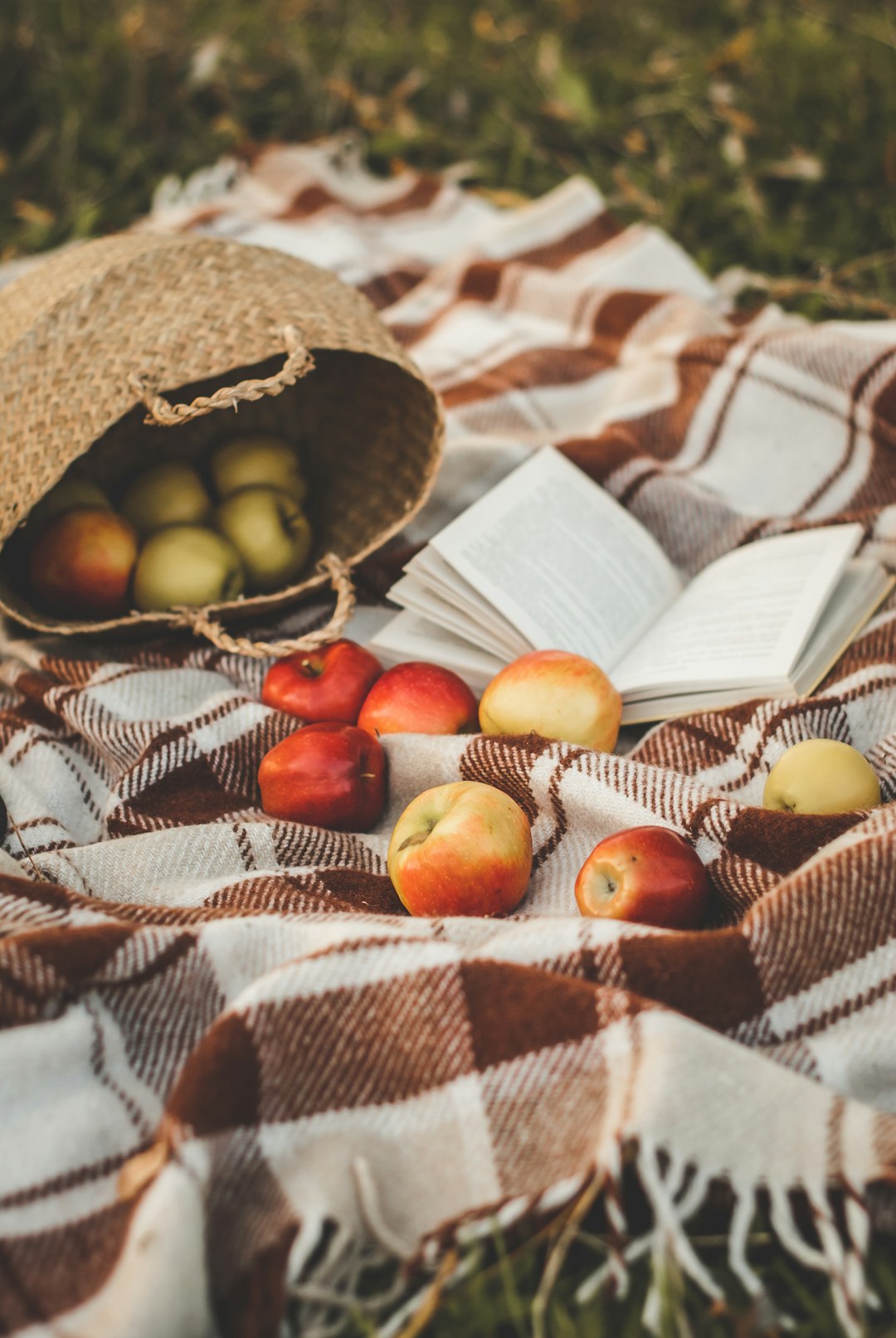 fruits on brown woven basket