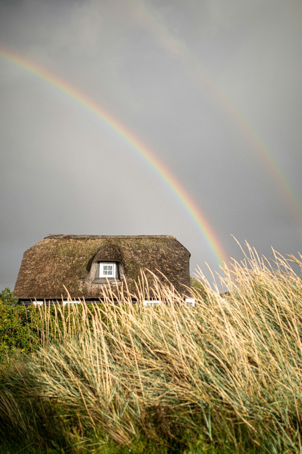 brown house on green grass field under rainbow