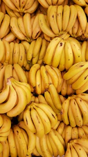 Many clusters of ripe yellow bananas with brown spots packed together
