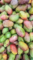 A large pile of fresh mangoes with varying shades of green, yellow, and red, indicating different stages of ripeness. The surface of the mangoes appears smooth and slightly shiny, suggesting they have been recently washed or are covered with a light dew.